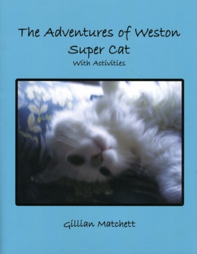 The Adventures of Weston Super Cat With Activities av Gillian Matchett (Paperback)