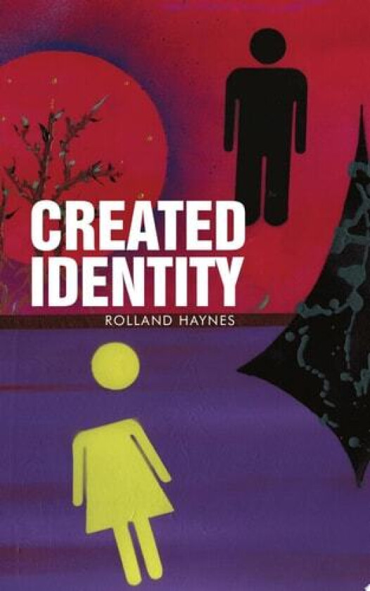 Created Identity av Haynes Rolland Haynes (Paperback)