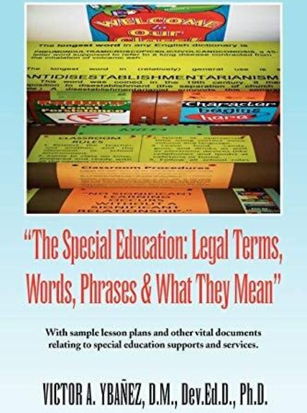 Special Education av Victor A Ybanez (Paperback)