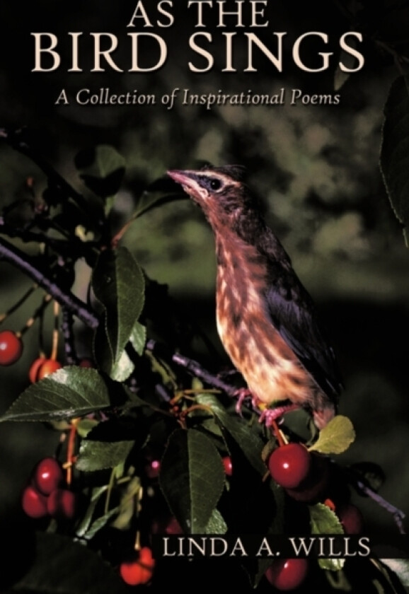 As the Bird Sings av A Wills Linda a Wills, Linda a Wills (Hardcover)