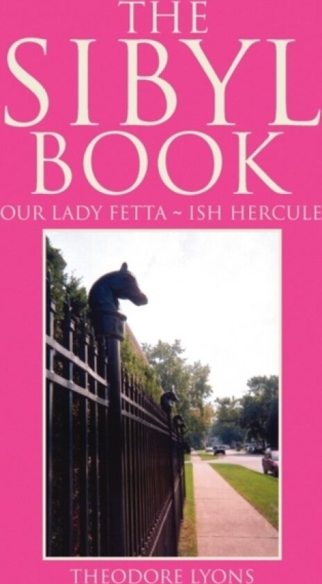The Sibyl Book av Theodore Lyons (Paperback)