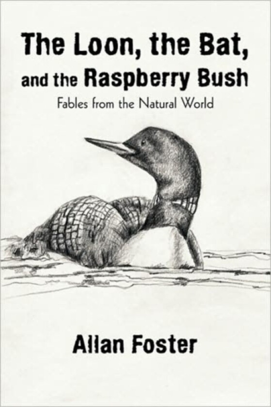 The Loon, the Bat, and the Raspberry Bush av Foster Allan Foster (Paperback)