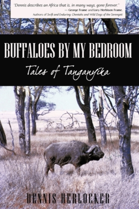 Buffaloes by My Bedroom av Dennis Herlocker (Hardcover)