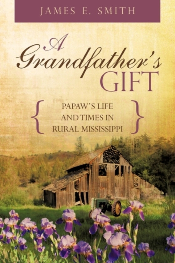 A Grandfather's Gift av James E Sr Smith (Paperback)