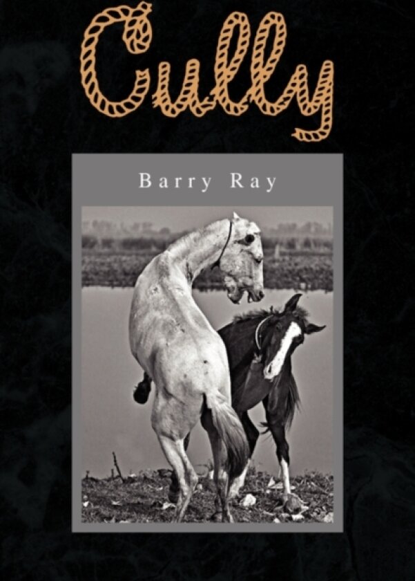 Cully av Barry Ray (Paperback)