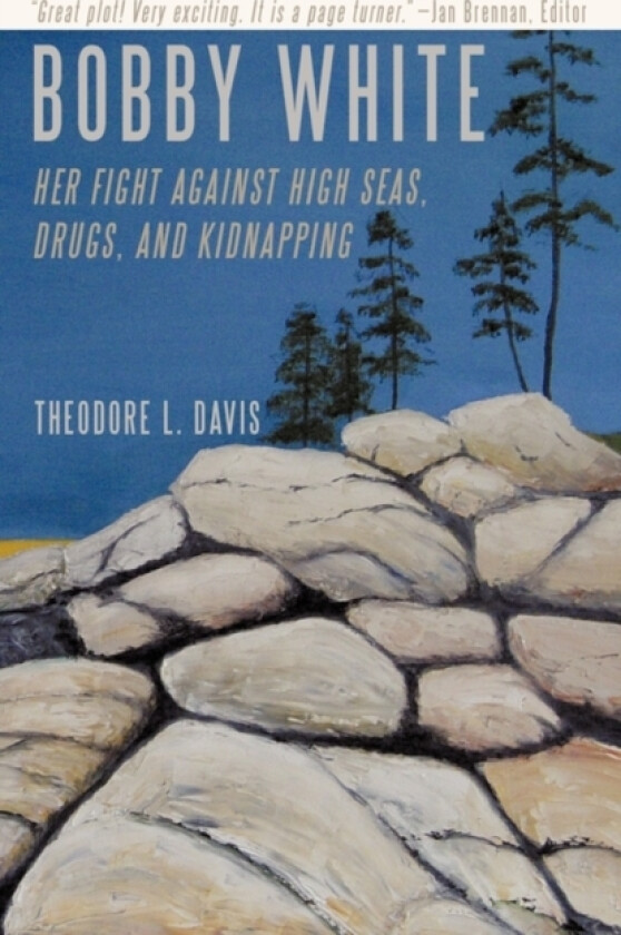 Bobby White av Theodore L Davis (Paperback)