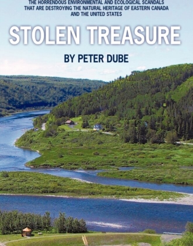 Stolen Treasure av Peter Dube (Paperback)