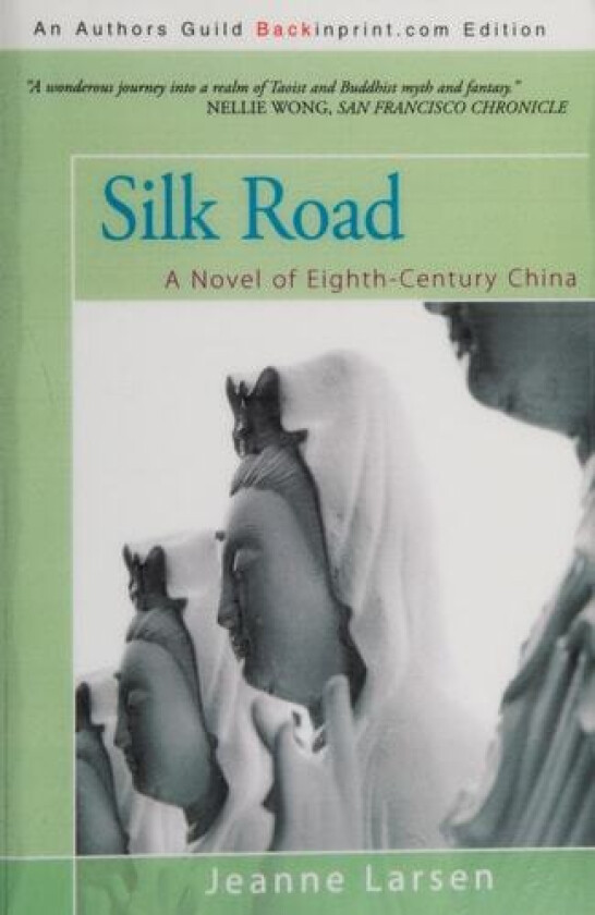 Silk Road av Jeanne Larsen (Paperback)
