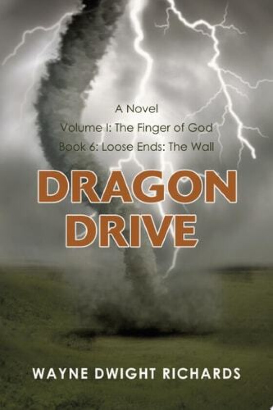 Dragon Drive Volume I av Dr Wayne Dwight Richards (Paperback)