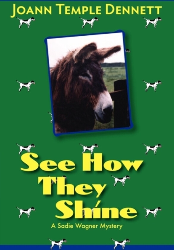 See How They Shine av Joann Temple Dennett (Paperback)
