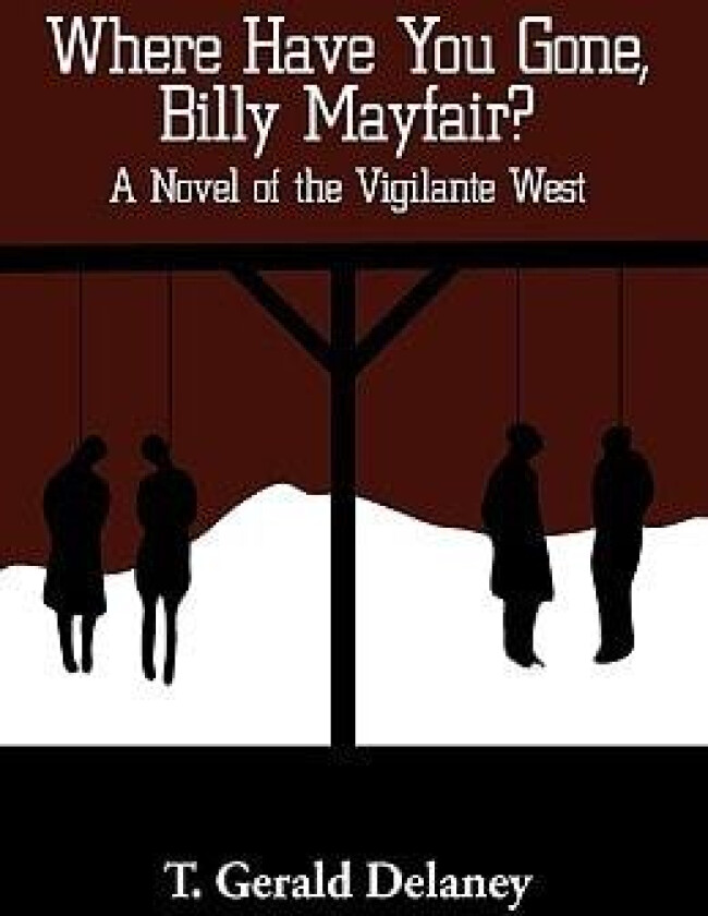 Where Have You Gone, Billy Mayfair? av Gerald Delaney T Gerald Delaney (Hardcover)