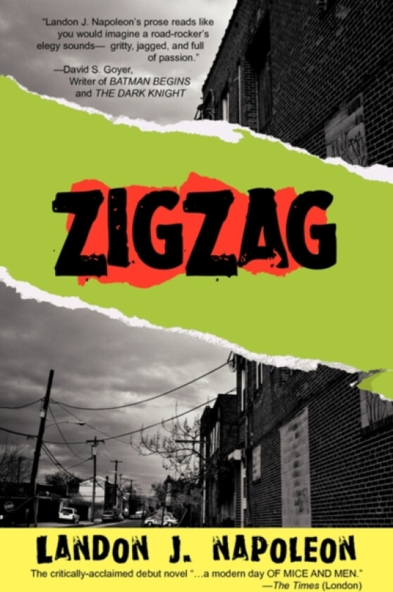 ZigZag av Landon J Napoleon (Paperback)