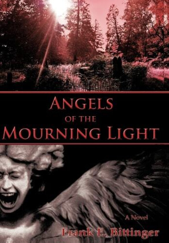 Angels of the Mourning Light av Frank E. Bittinger (Hardcover)