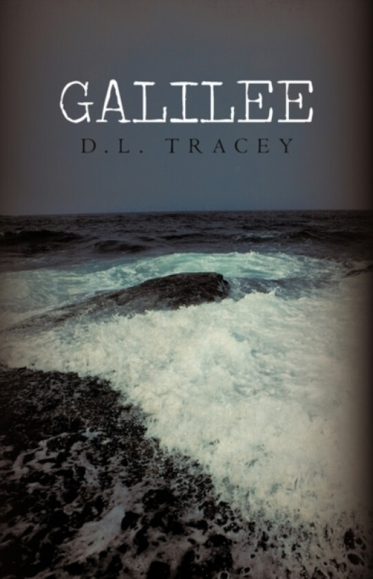 Galilee av D L Tracey (Hardcover)