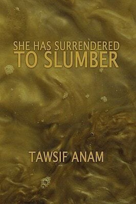 She Has Surrendered to Slumber av Tawsif Anam (Paperback)