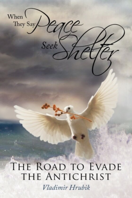 When They Say Peace Seek Shelter av Vladimir Hrubik (Paperback)