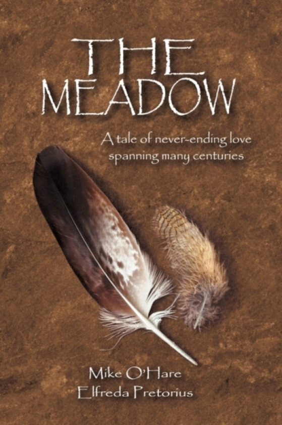 The Meadow av Mike O'Hare, Elfreda Pretorius (Paperback)