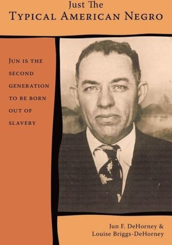 Just The Typical American Negro av Jun & Louise Briggs-DeHorney (Paperback)