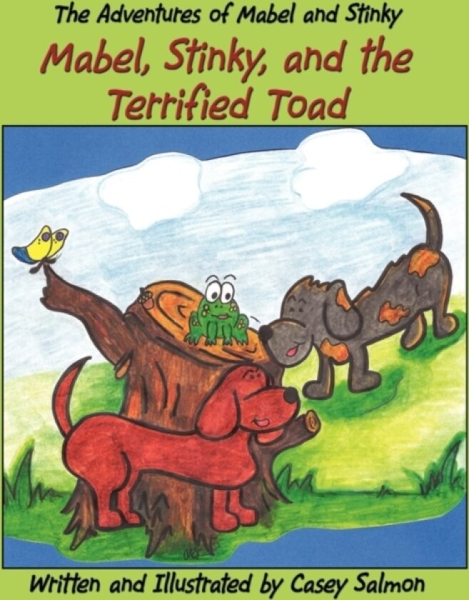 The Adventures of Mabel and Stinky av Casey Salmon (Paperback)