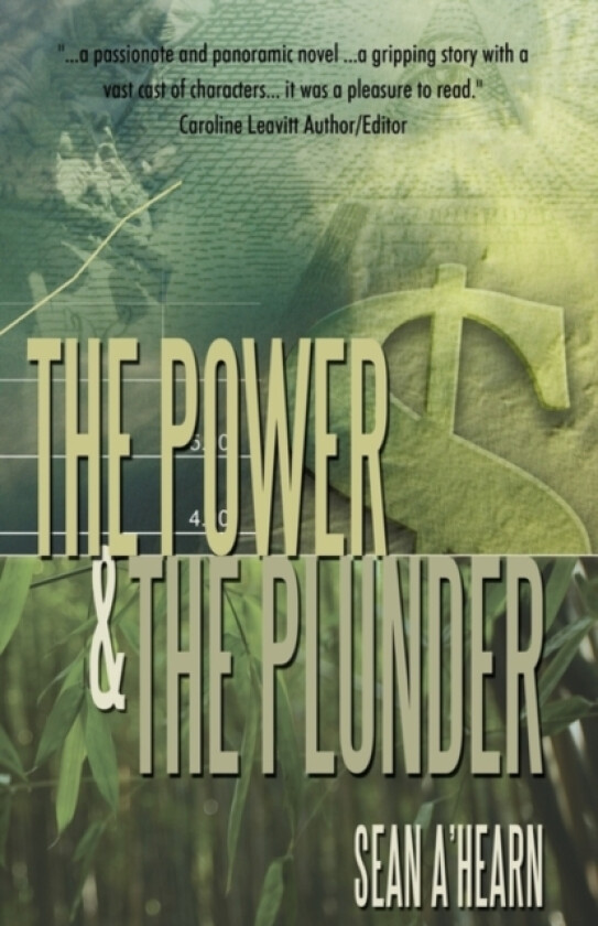 The Power and the Plunder av Sean A'Hearn (Hardcover)