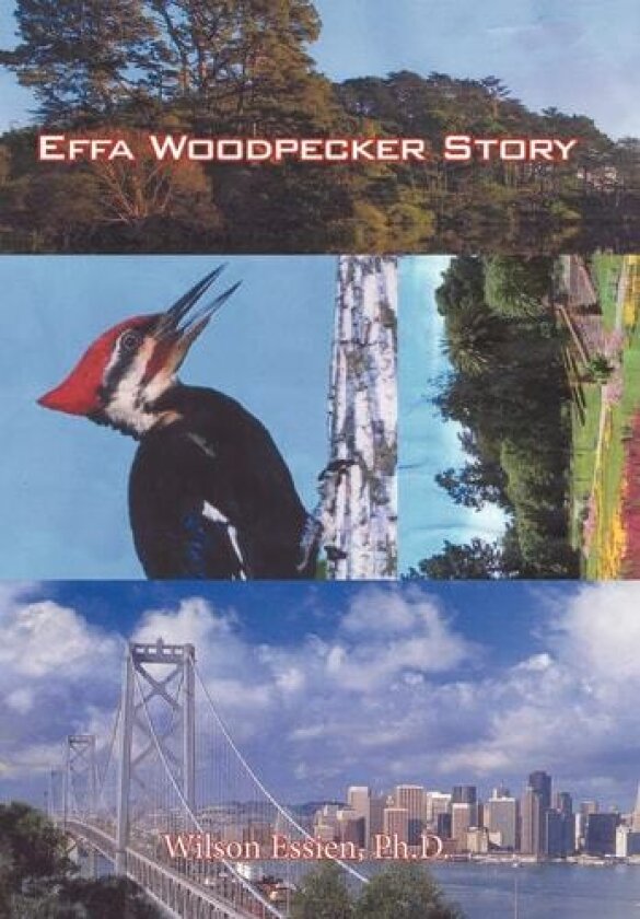 Effa Woodpecker Story av Ph.D. Wilson Essien (Hardcover)