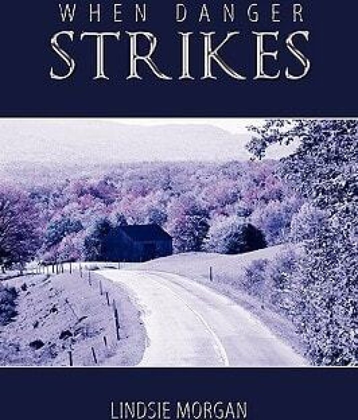 When Danger Strikes av Lindsie Morgan (Paperback)