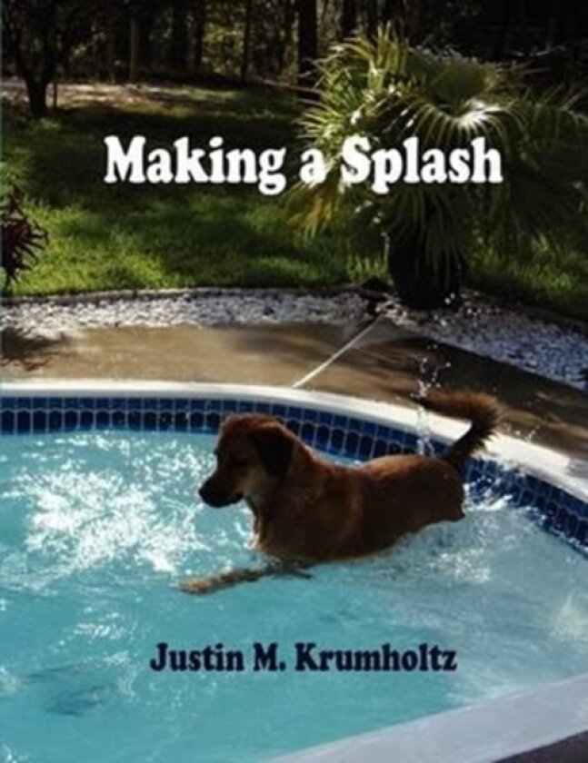 Making a Splash av Justin M. Krumholtz (Paperback)