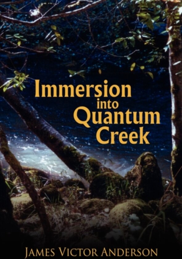 Immersion into Quantum Creek av James Victor Anderson (Paperback)