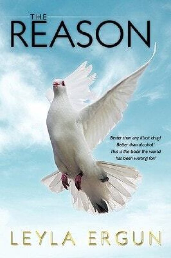 The Reason av Leyla Ergun (Hardcover)