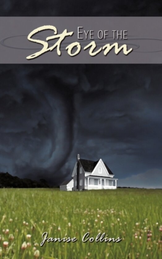 Eye of the Storm av Janise Collins (Paperback)