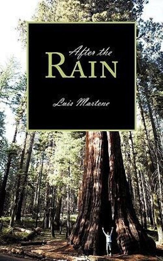 After The Rain av Luis Martene (Paperback)
