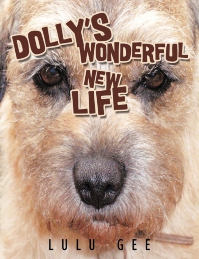 Dolly's Wonderful New Life av LuLu Gee (Paperback)