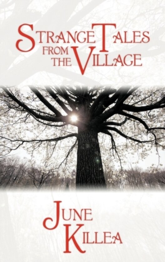 Strange Tales from the Village av June Killea (Paperback)