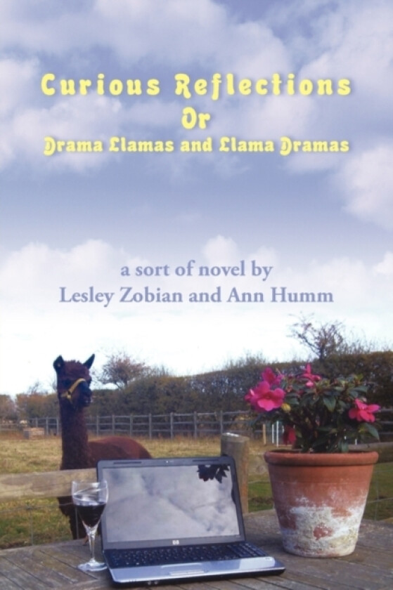 Curious Reflections av Zobian And a Lesley Zobian and Ann Humm (Paperback)