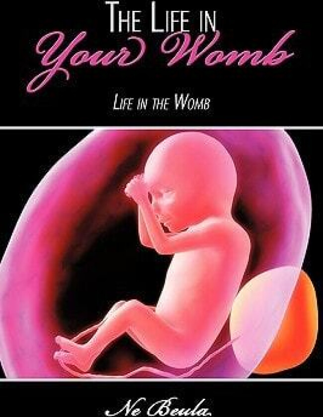 The Life in Your Womb av Ne Beula (Paperback)