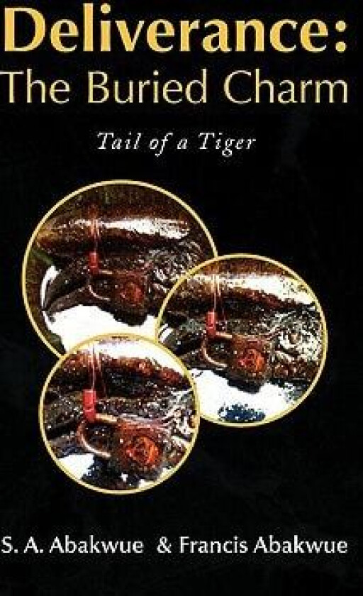 Deliverance av A Aba S a Abakwue & Francis Abakwue, S a Abakwue (Paperback)