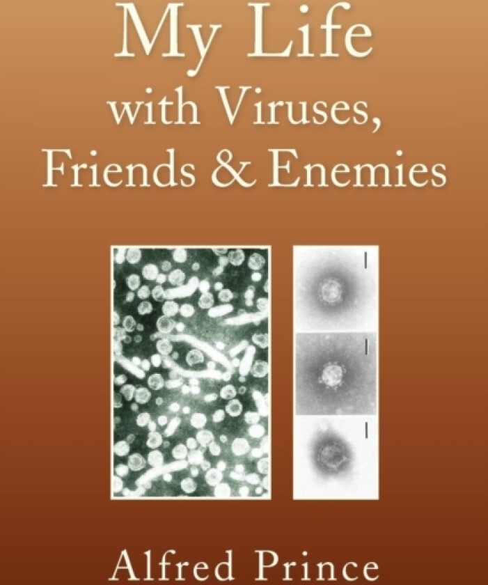 My Life with Viruses, Friends & Enemies av Alfred Prince (Paperback)