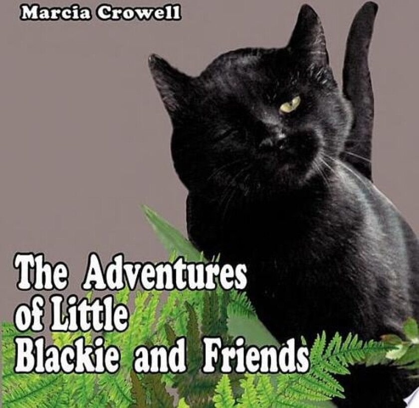 The Adventures of Little Blackie and Friends av Marcia Crowell (Paperback)