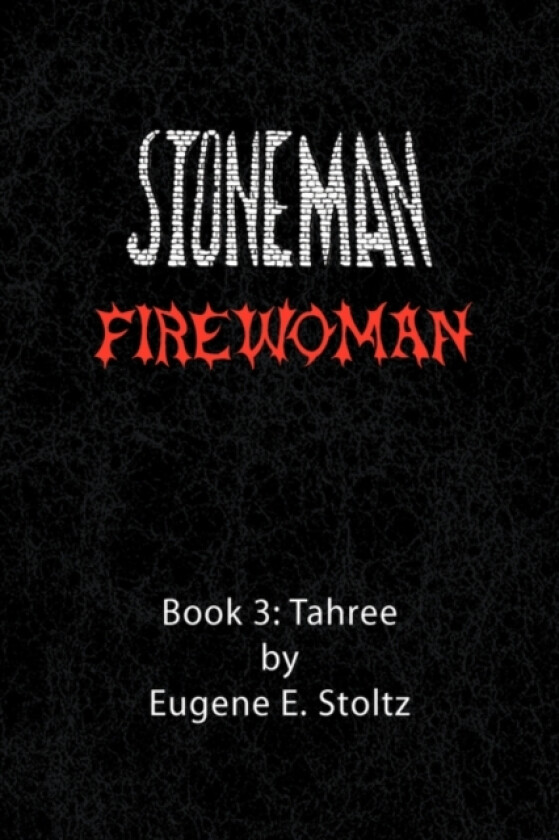 Stoneman Firewoman av Eugene E Stoltz (Paperback)