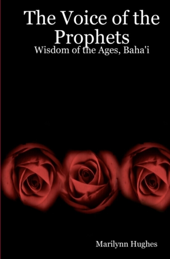 The Voice Of The Prophets av Marilynn Hughes (Paperback)