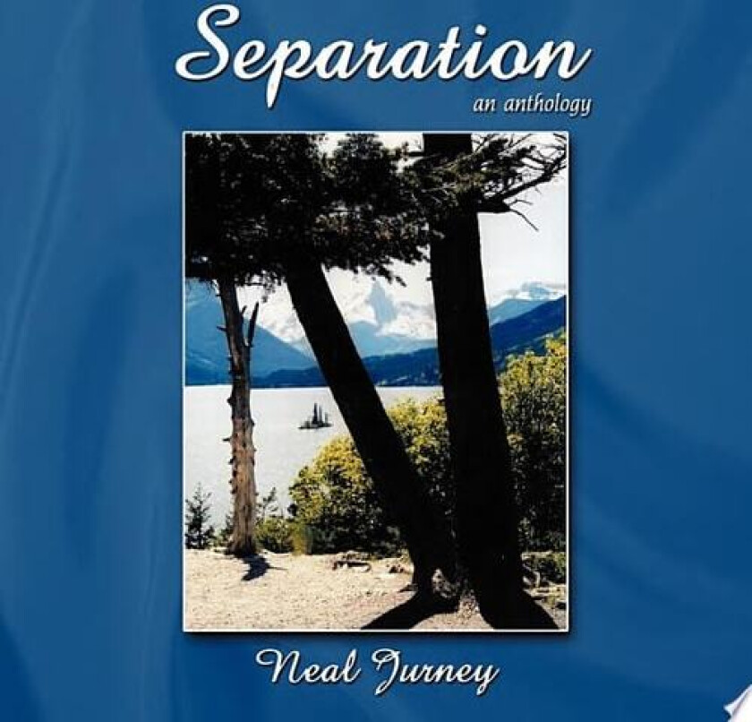 Separation av Neal Jurney (Paperback)