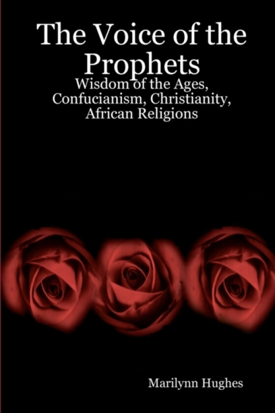 The Voice Of The Prophets av Marilynn Hughes (Paperback)