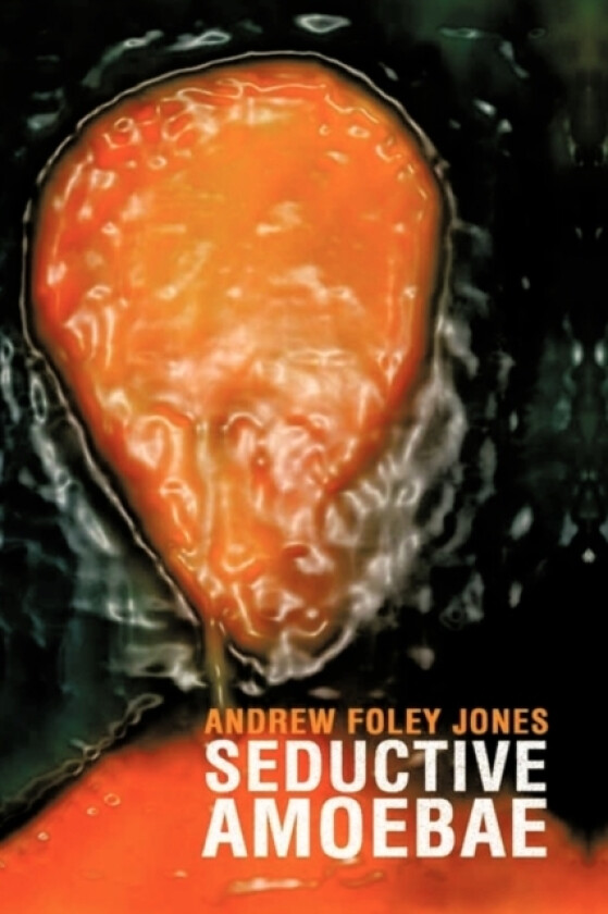 Seductive Amoebae av Andrew Foley Jones (Paperback)