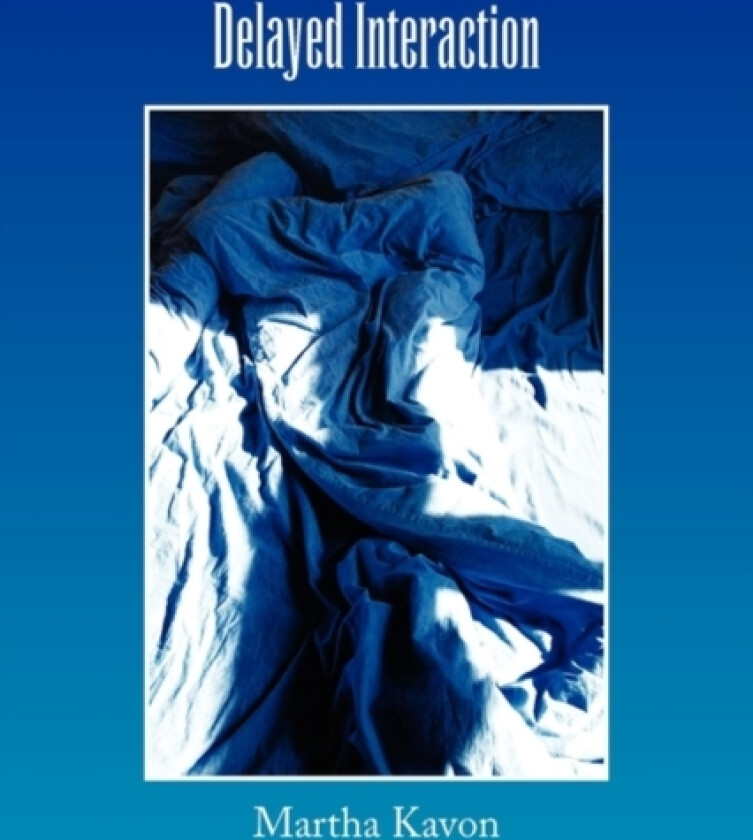 Delayed Interaction av Martha Kavon (Paperback)