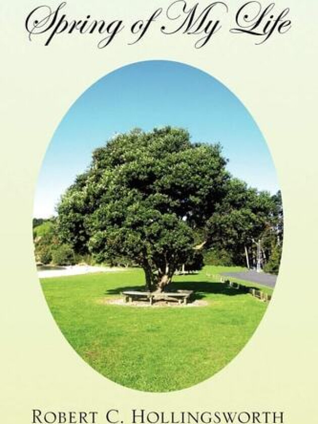 Spring of My Life av Robert C Hollingsworth (Paperback)