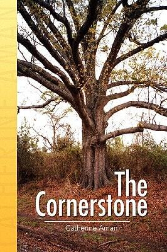 The Cornerstone av Catherine Aman (Paperback)