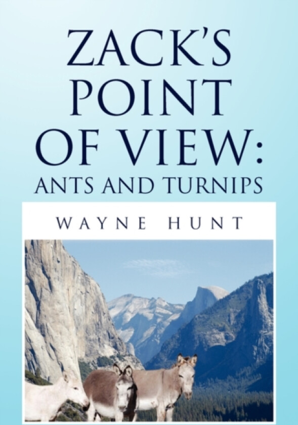Zack's Point of View av Wayne Hunt (Paperback)