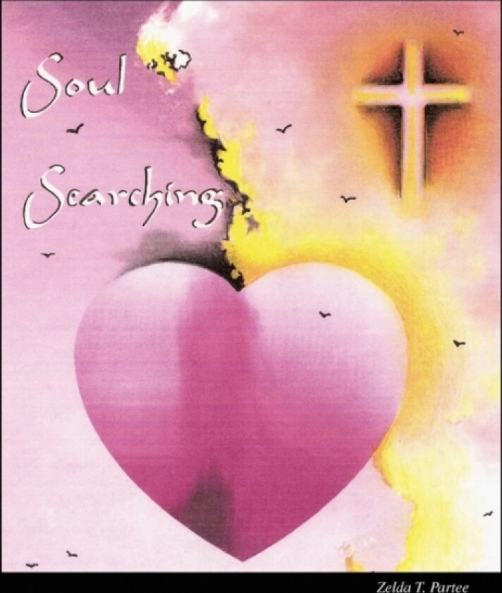 Soul Searching av Zelda T Partee (Paperback)