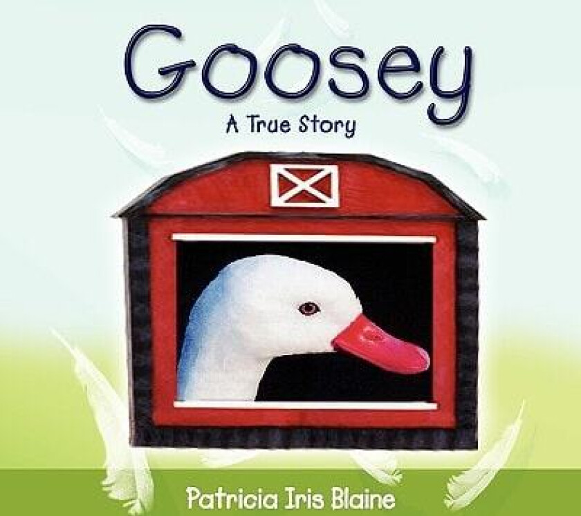 Goosey av Patricia Iris Blaine (Paperback)