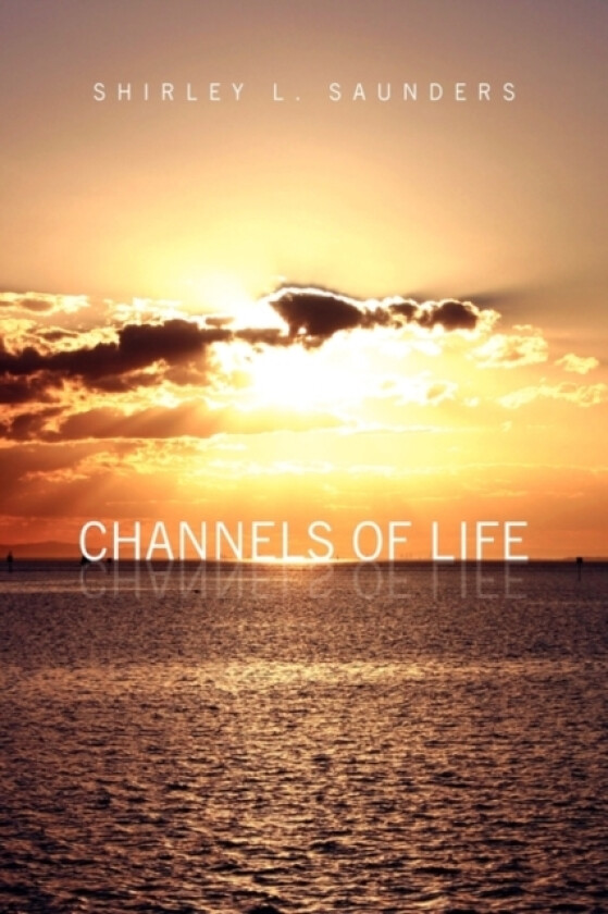 Channels of Life av Shirley L Saunders (Paperback)